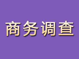 汉阴商务调查